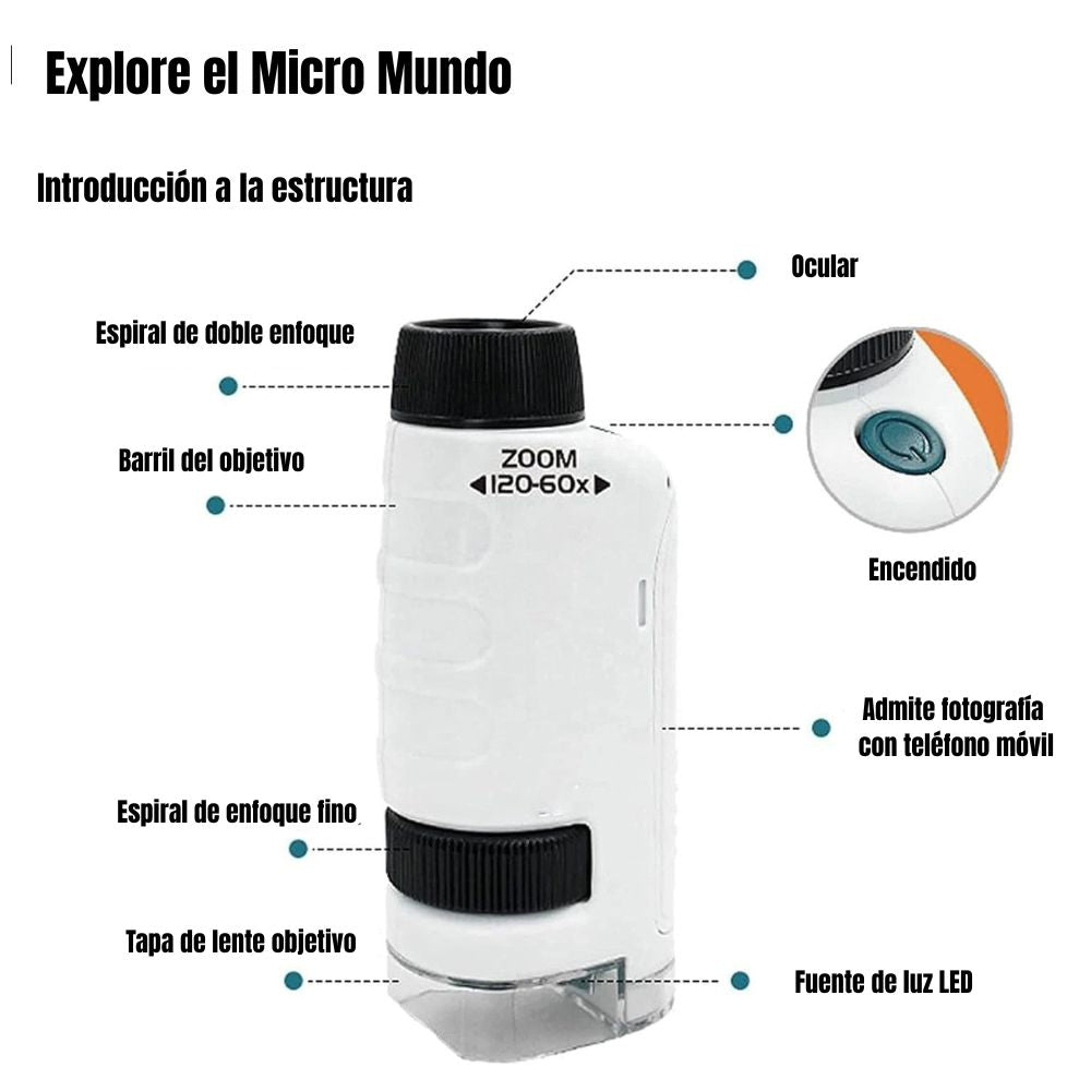 Encabezado